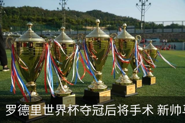 罗德里世界杯夺冠后将手术 新帅马雷斯卡表态留人 皇马被曝已开始运作